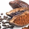 Researchers find that cocoa flavonoids can help improve mobility and quality of life for the elderly