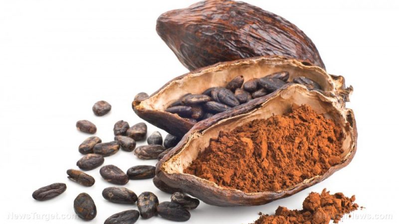 Researchers find that cocoa flavonoids can help improve mobility and quality of life for the elderly