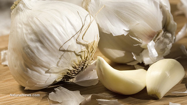 New study reveals regular garlic intake may lower mortality risk