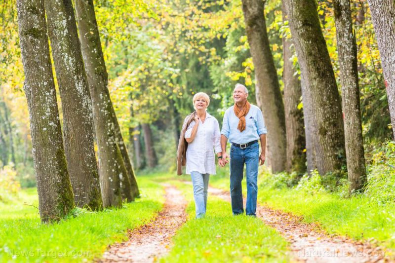 Study: Walking at least 45 minutes a day can help prevent cancer