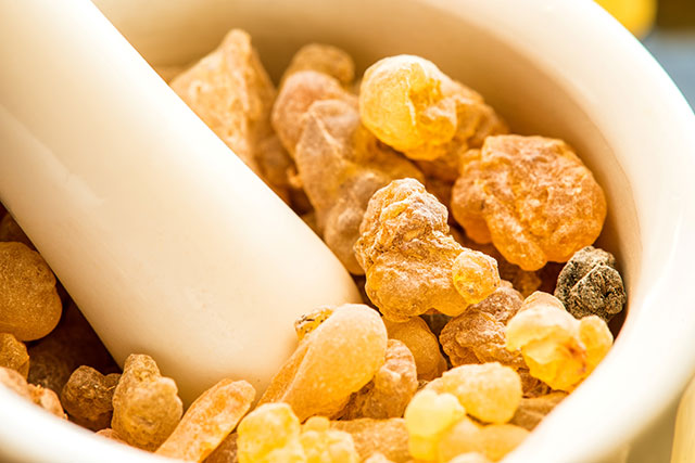 Frankincense: One of the most powerful medicines from Mother Nature