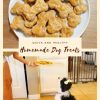 Homemade dog treats (quick and healthy!)