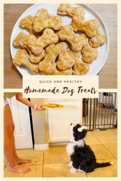 Homemade dog treats (quick and healthy!)