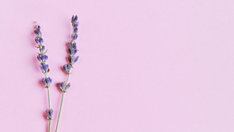 Here’s Why You Should Hang Lavender in Your Shower