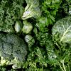 Study: Eating leafy greens reduces bone fracture risk among the elderly