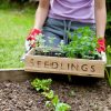 The science behind the benefits of gardening for mental health and well-being