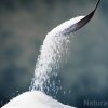 Reducing daily sugar intake to less than 6 teaspoons found to benefit overall health