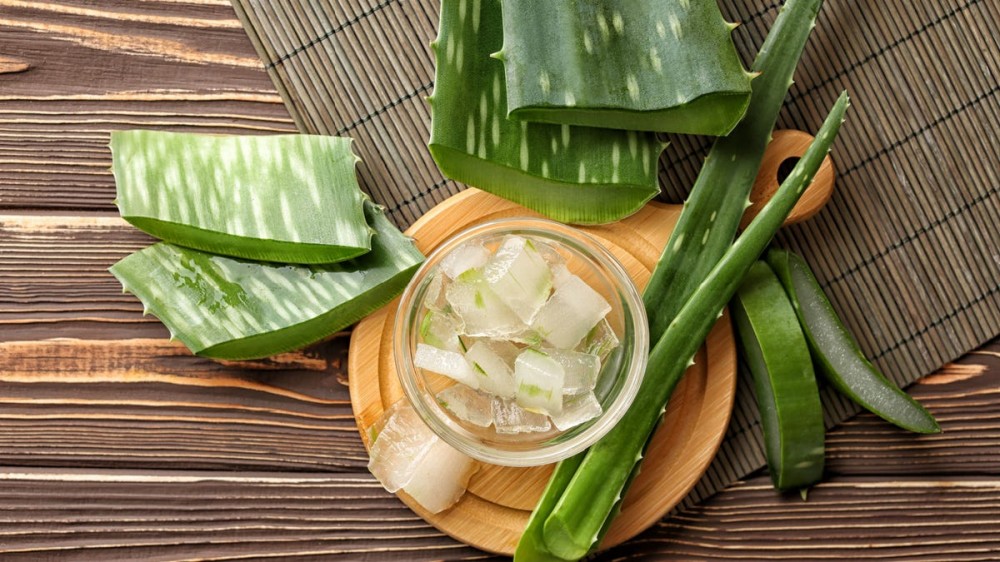 Aloe vera leaves and chopped aloe vera gel sit in a glass bowl on a wooden surface.