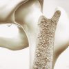 Maintain strong and healthy bones as you age with these 4 tips