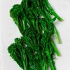 Simple Steamed Broccolini with Tahini Dressing