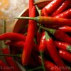 Is eating chili peppers the key to a longer life? Studies link chili consumption to lower risk of dying from heart disease, cancer