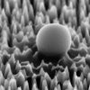 New material neutralizes 96-percent of virus cells using nanospikes