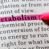 What Is Metabolism? Biochemist Explains How People Convert Energy Differently − And Why It Matters