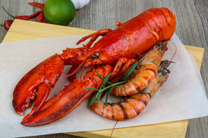 New England seafood loaded with more toxic ‘forever chemicals’ than realized, especially shrimp and lobster